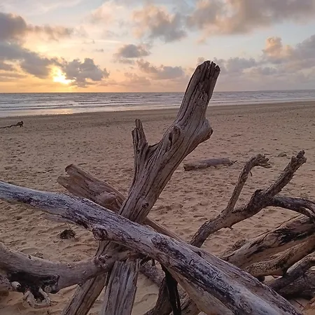 Le Petit Marais Casa de Férias Echire